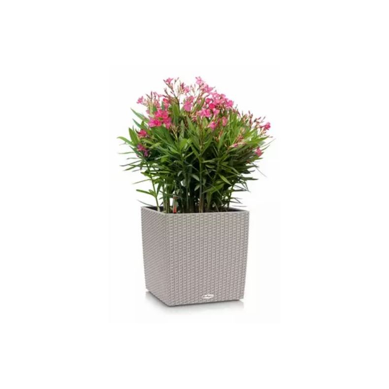 LECHUZA CUBE Cottage Sandfarvet