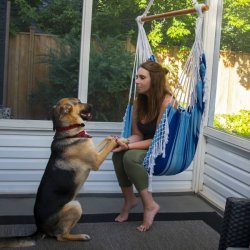 Island breeze  - Brasiliansk hngekjestol