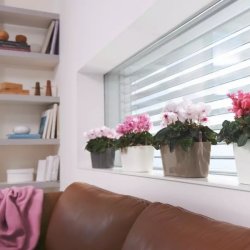 LECHUZA DELTA Grbrun