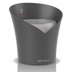 LECHUZA ORCHIDEA Skiffer