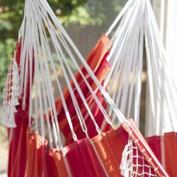 Mimosa - Brasiliansk hngekjestol