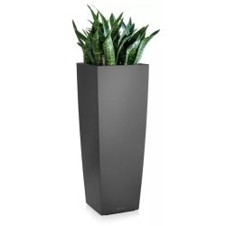 LECHUZA CUBICO Alto koksgr hjglans 