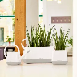 Lechuza YULA vandkande hvid/rosa