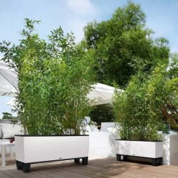 LECHUZA TRIO Cottage - graphite black