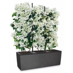 LECHUZA TRIO Stone - graphite