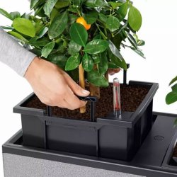 LECHUZA TRIO Stone - graphite