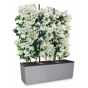 LECHUZA TRIO Stone - Gr